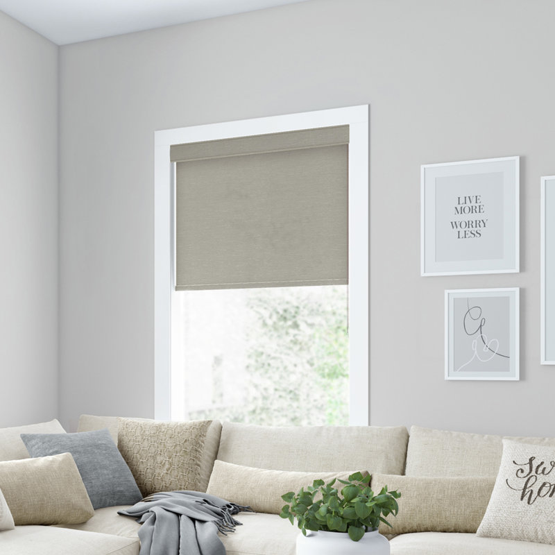 LEVOLOR Custom Heathered Cordloop Light Filtering Roller Shades in